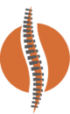 Grafik: Logo - Wirbelsäule in orangenem Kreis